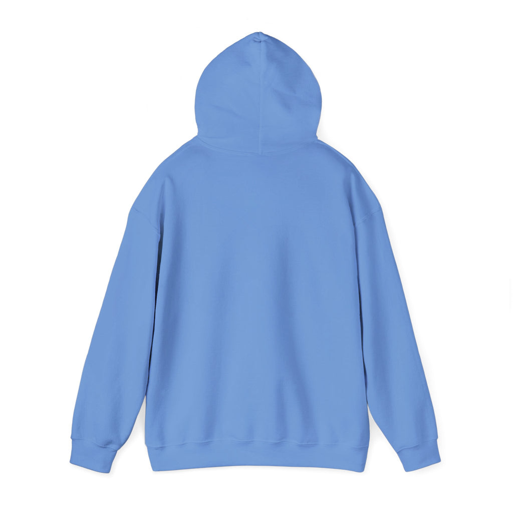 Koi Sushi Stack Hoodie | Japanese streetwear, cherry blossom graphic