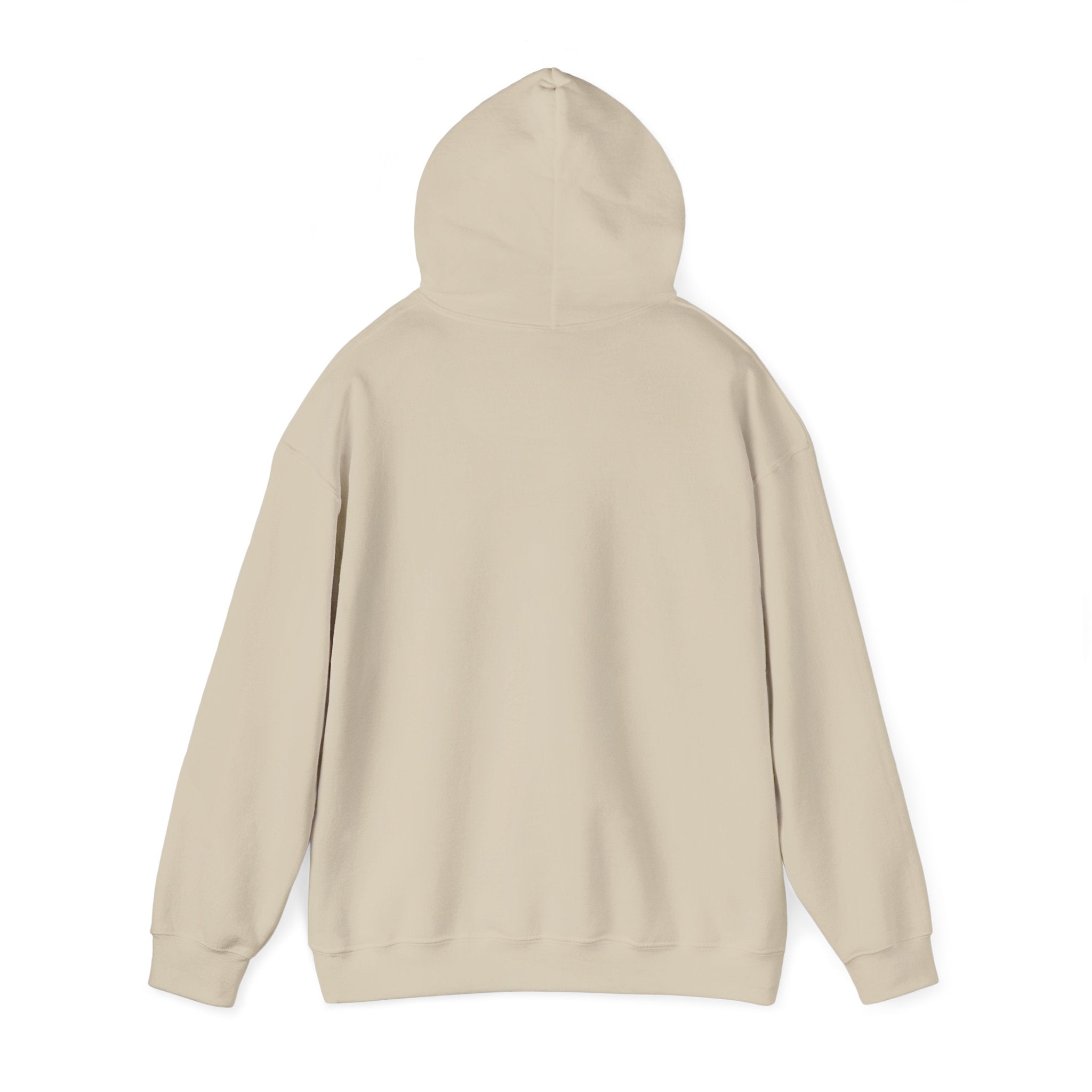 Dilly Dally Puppy Procrastination Hoodie | Retro cartoon, handwritten slogan