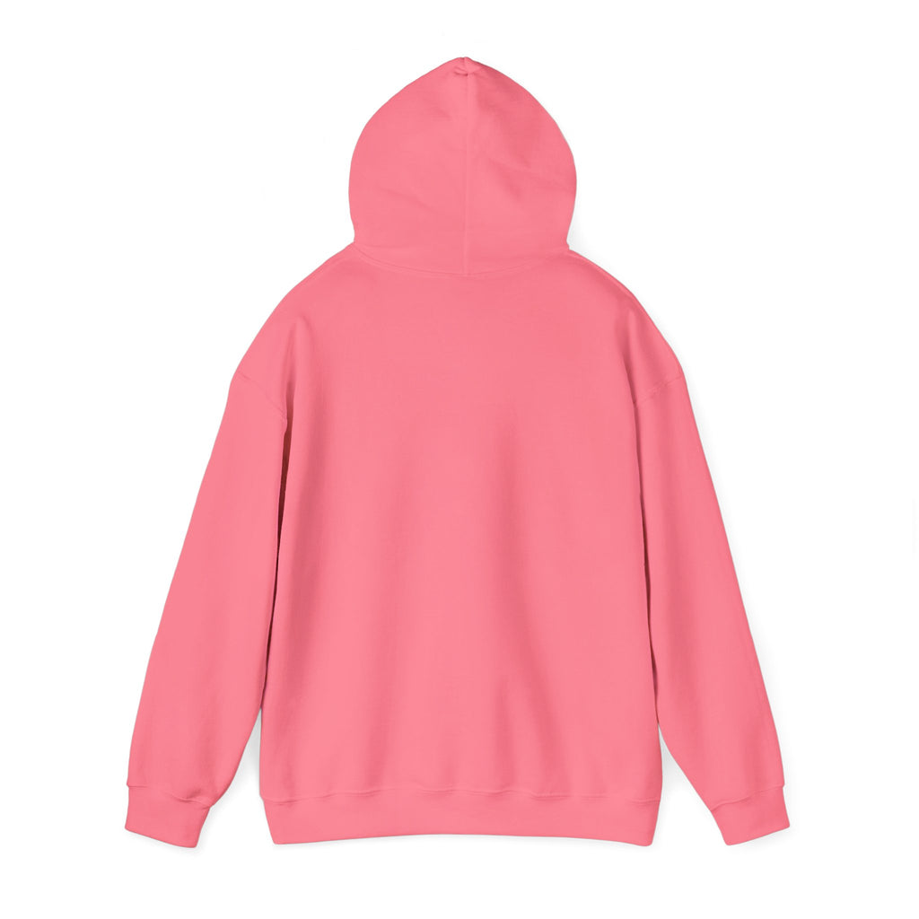 Koi Sushi Stack Hoodie | Japanese streetwear, cherry blossom graphic