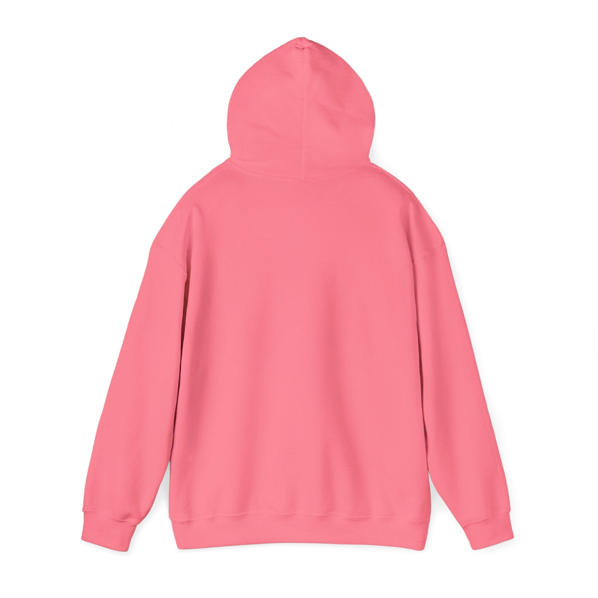 Koi Sushi Stack Hoodie | Japanese streetwear, cherry blossom graphic