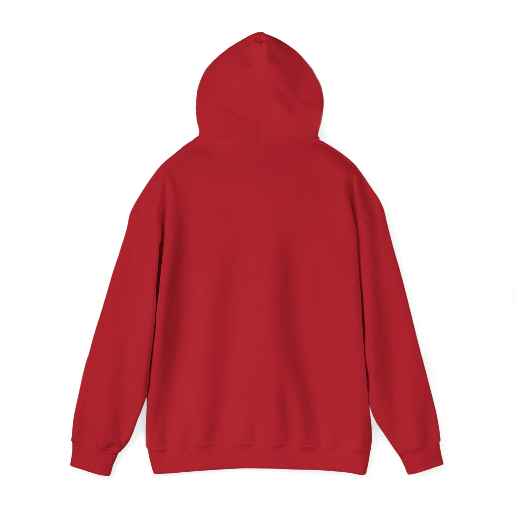 Dilly Dally Puppy Procrastination Hoodie | Retro cartoon, handwritten slogan
