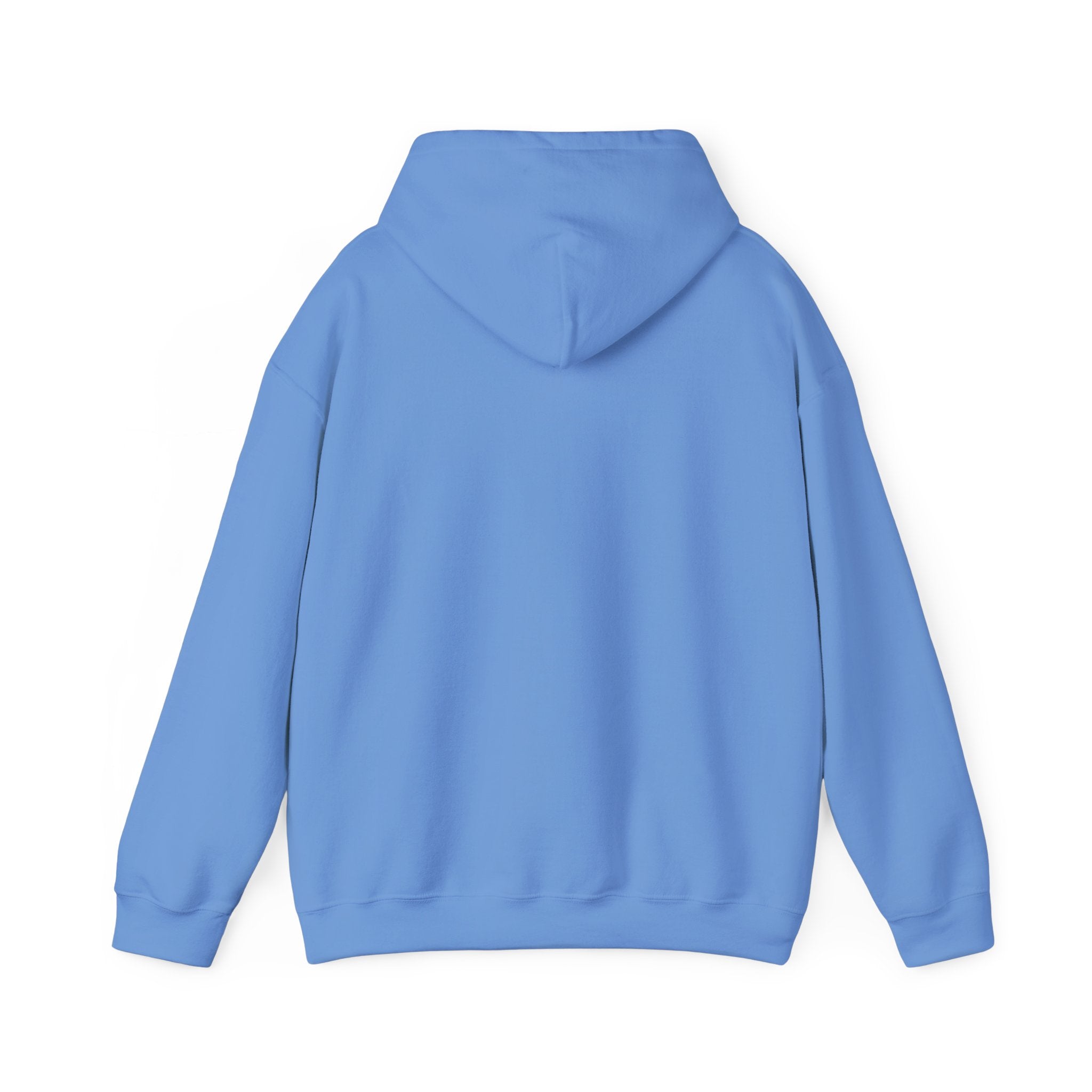 Dilly Dally Puppy Procrastination Hoodie | Retro cartoon, handwritten slogan