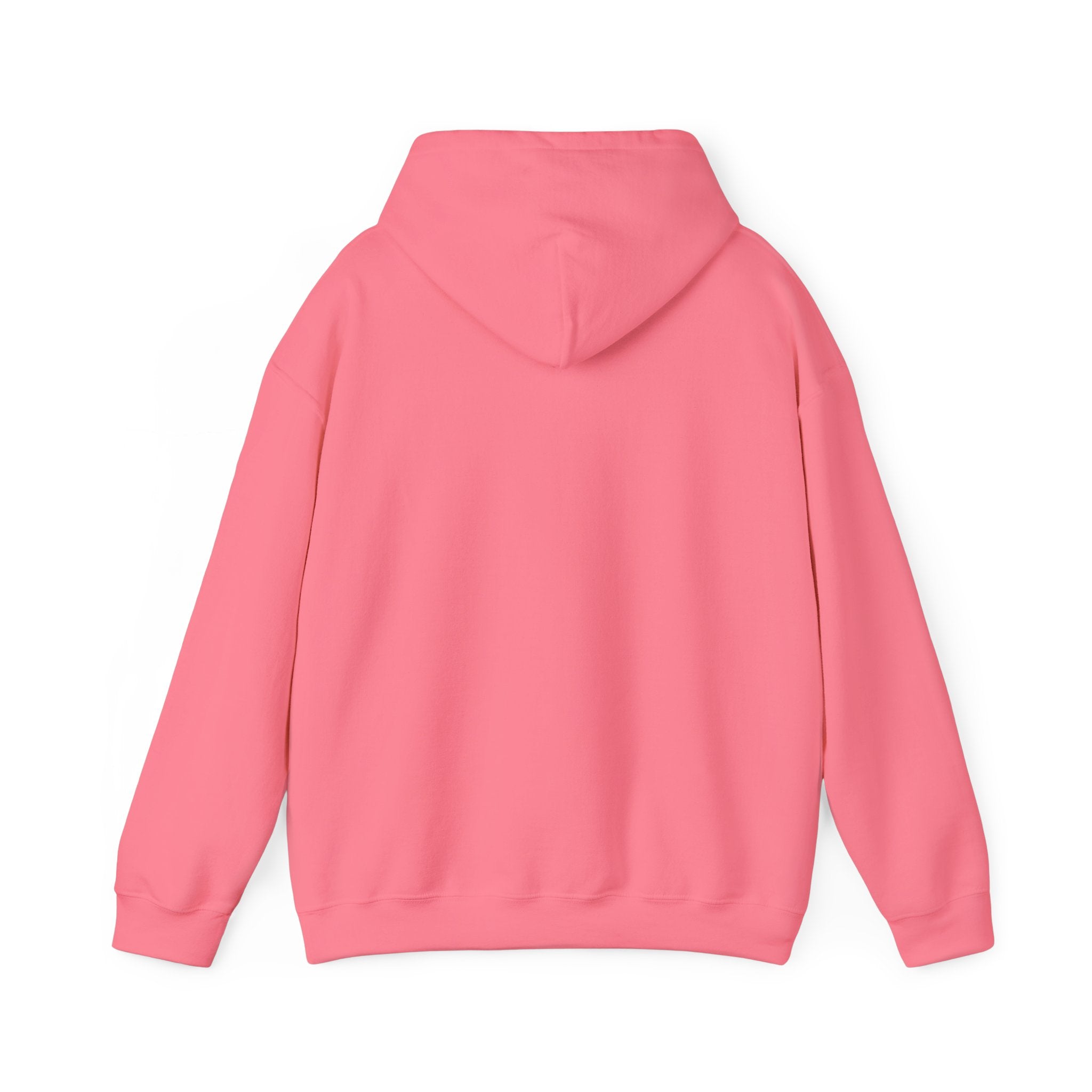 Koi Sushi Stack Hoodie | Japanese streetwear, cherry blossom graphic