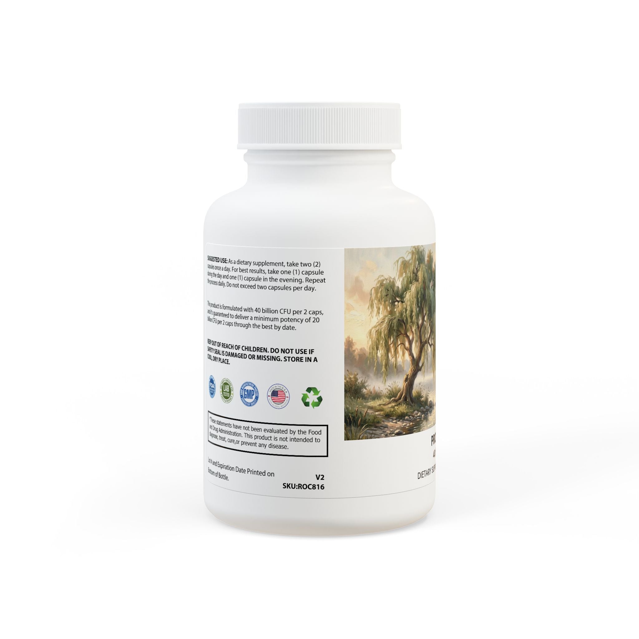 Probiotics Supplement (60 Capsules)