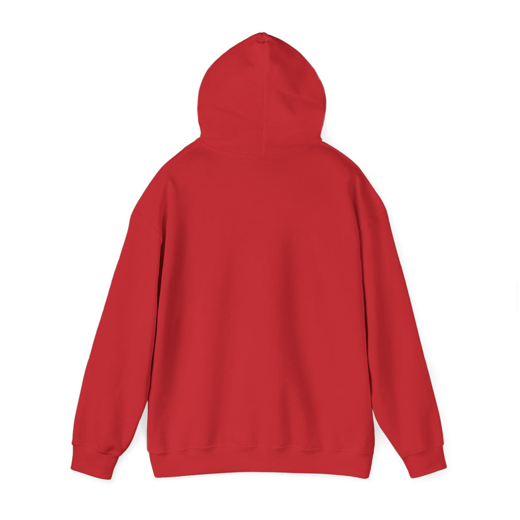 Koi Sushi Stack Hoodie | Japanese streetwear, cherry blossom graphic