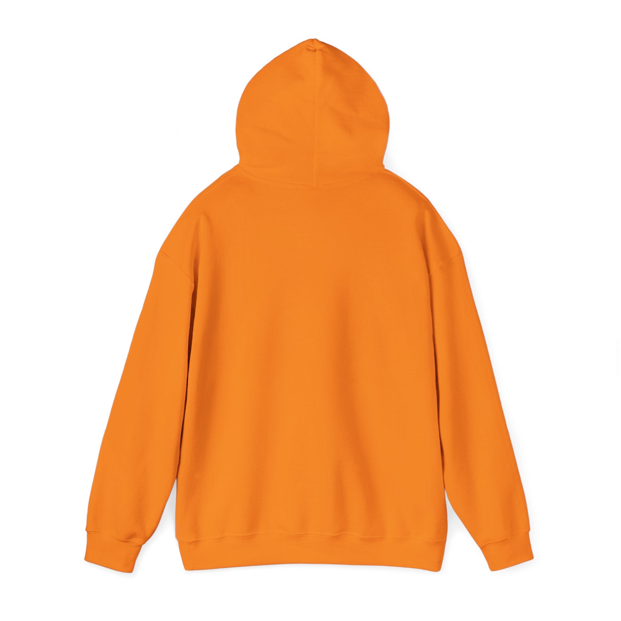 Koi Sushi Stack Hoodie | Japanese streetwear, cherry blossom graphic