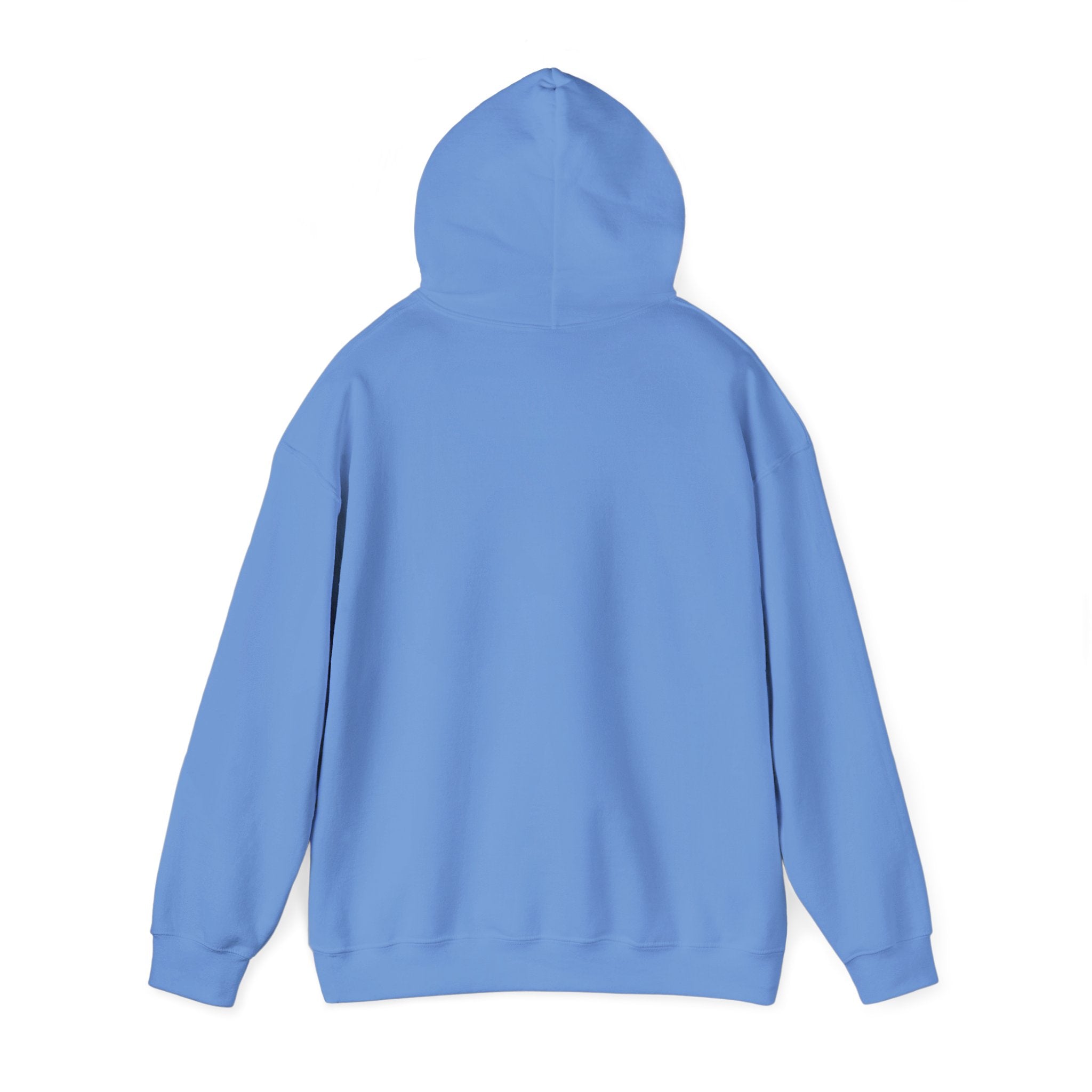 Dilly Dally Puppy Procrastination Hoodie | Retro cartoon, handwritten slogan