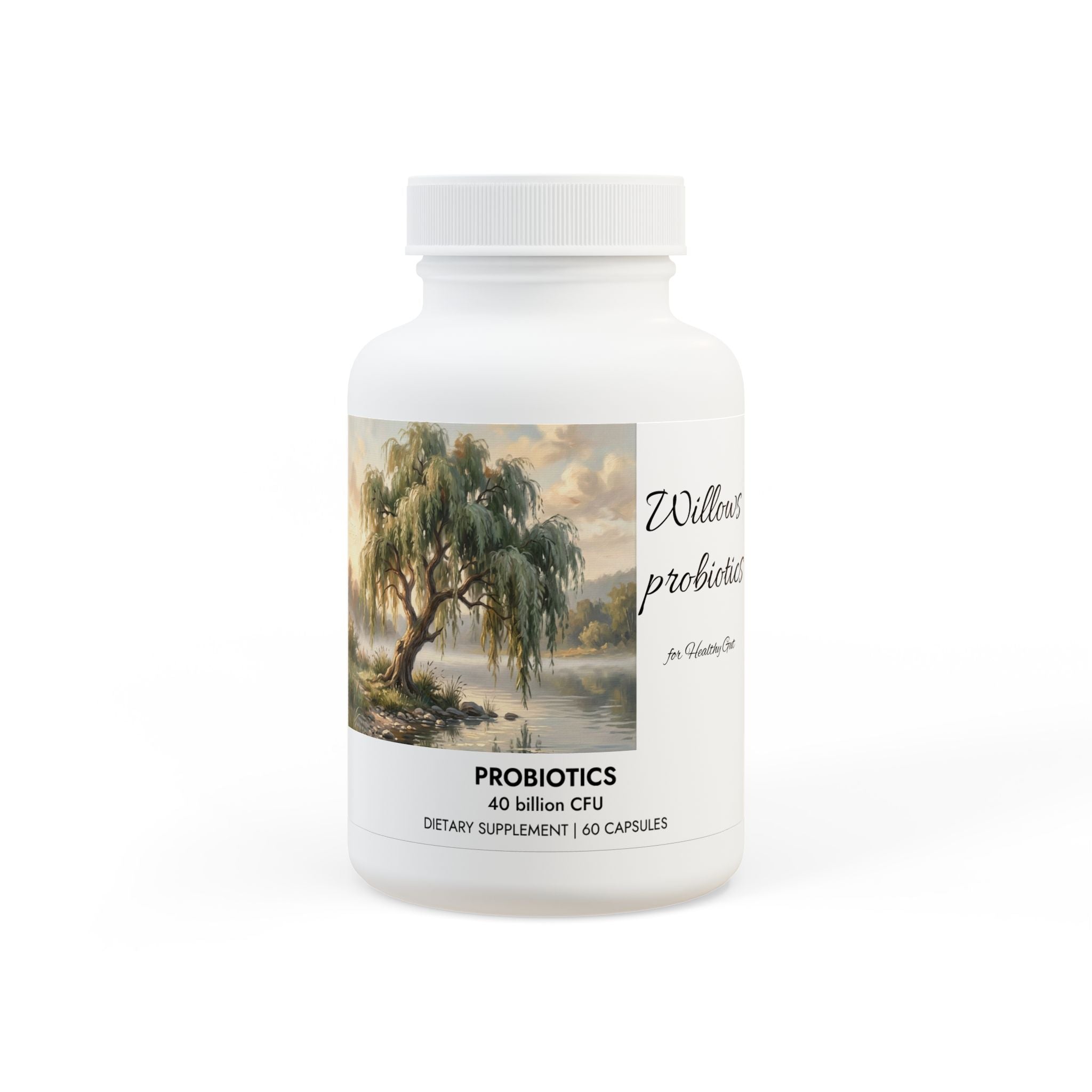 Probiotics Supplement (60 Capsules)