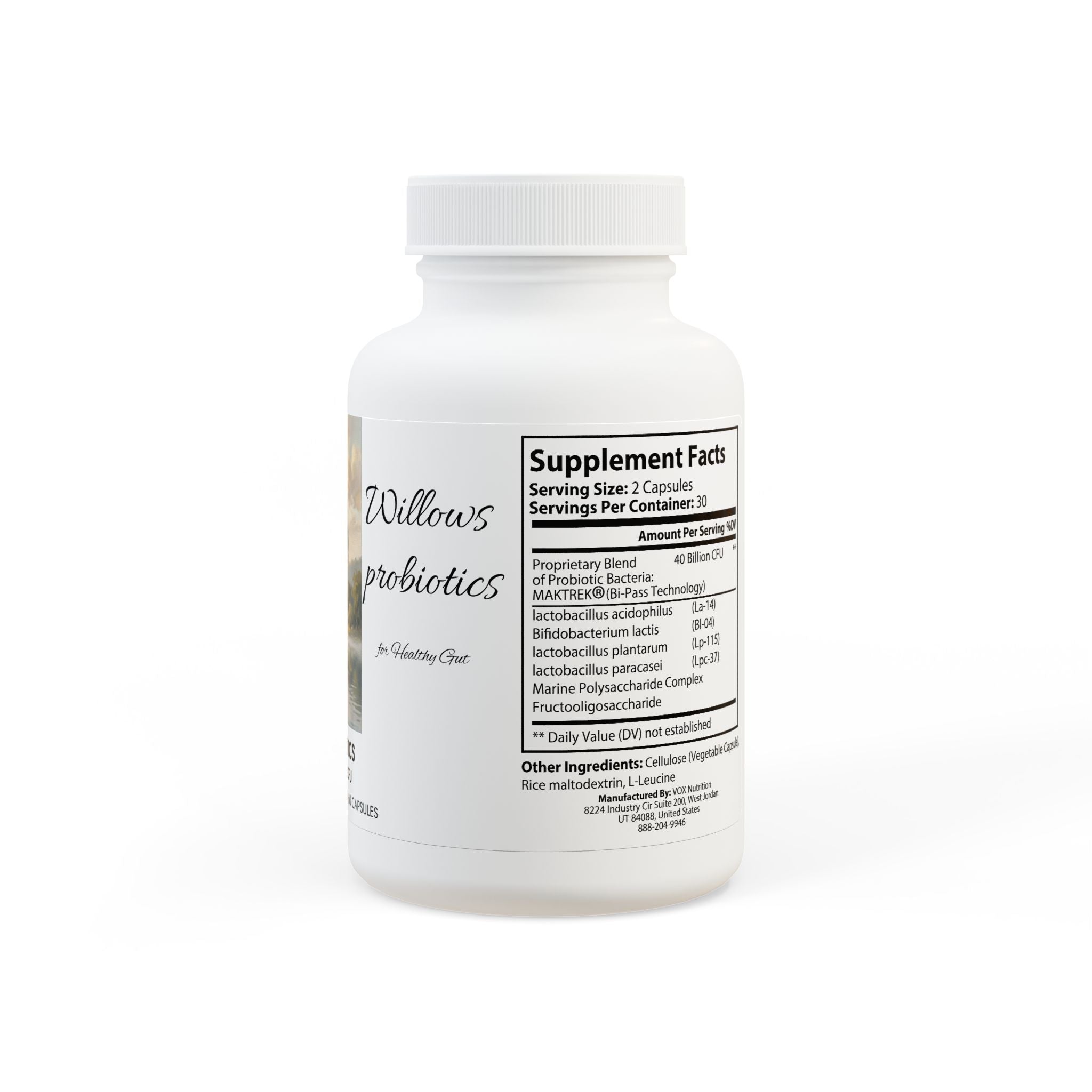 Probiotics Supplement (60 Capsules)