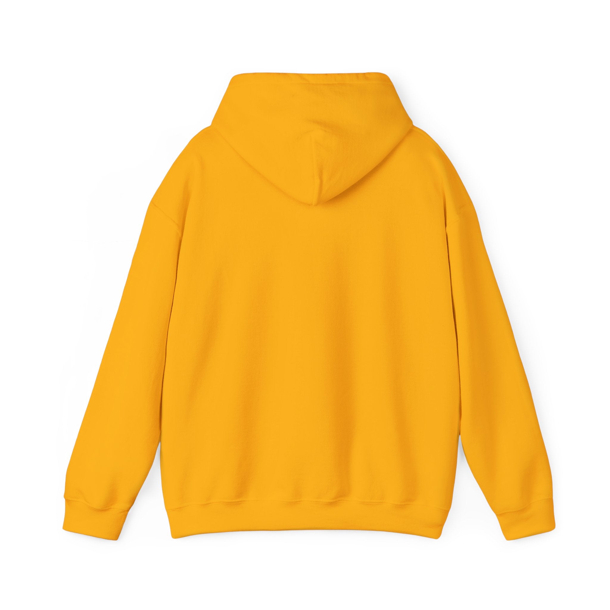 Dilly Dally Puppy Procrastination Hoodie | Retro cartoon, handwritten slogan
